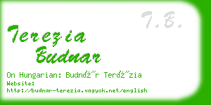 terezia budnar business card